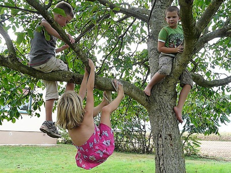 Kinder am Baum