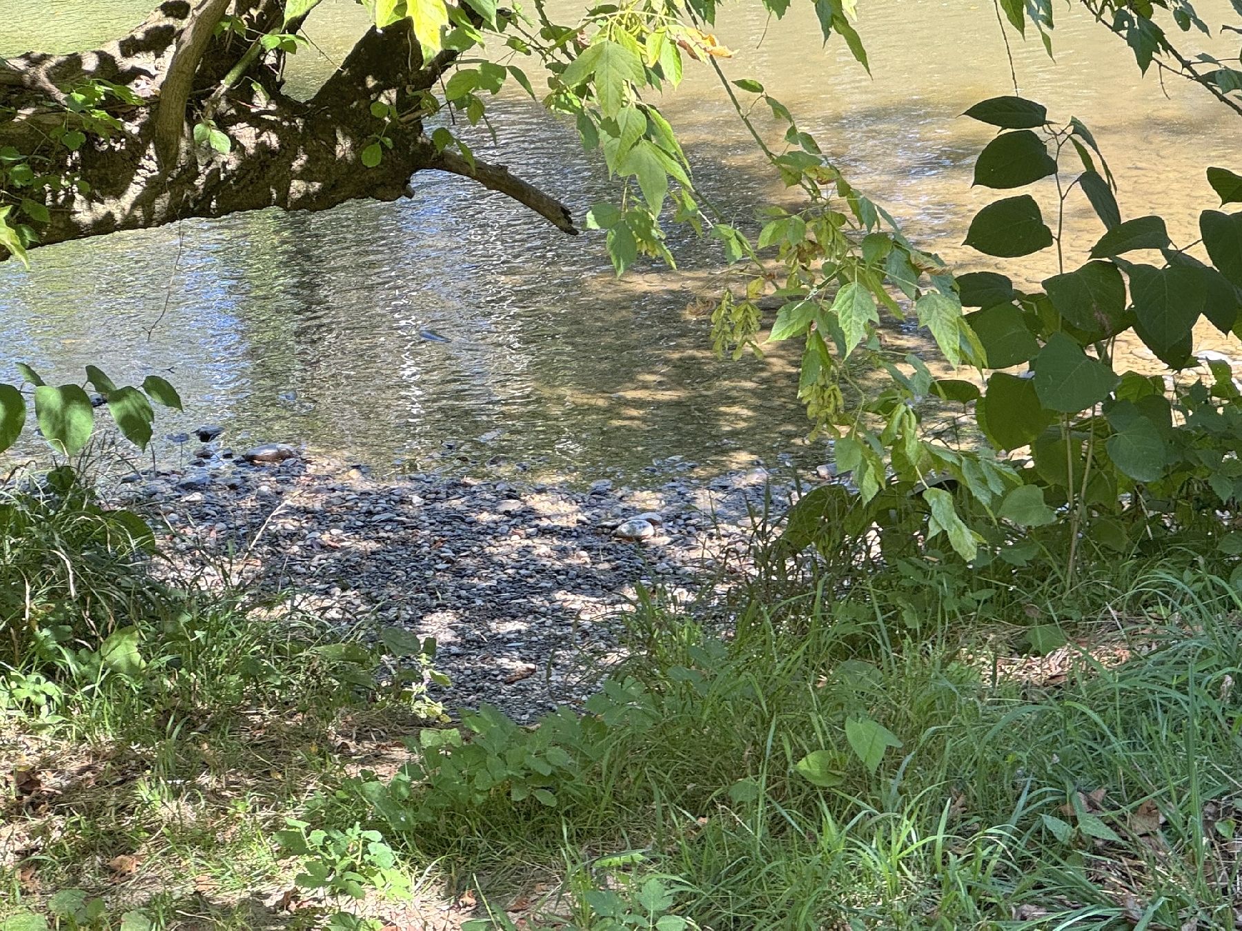 2025-09-05 Ausflug zur Sulm P1