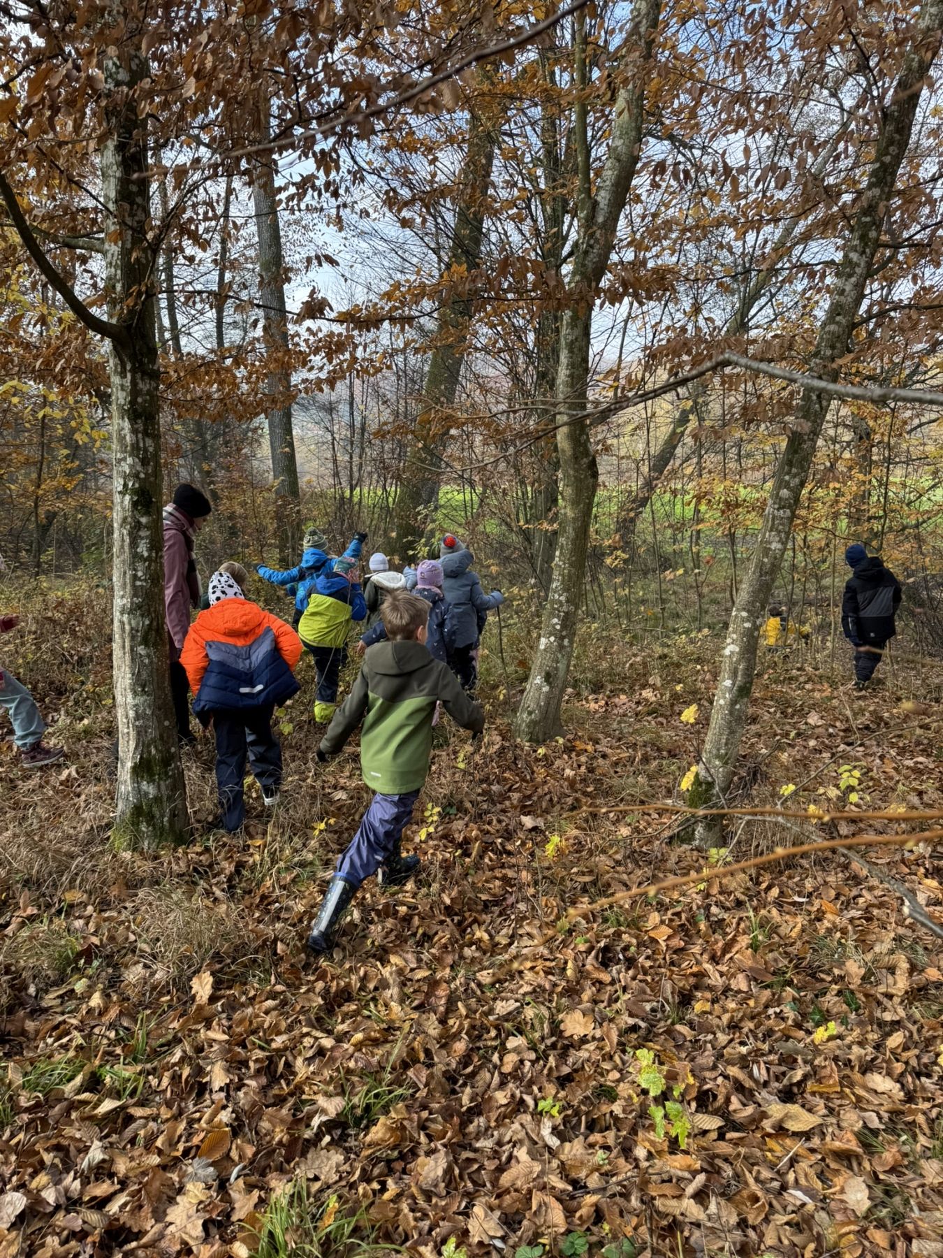 2025-11-07 Waldtag P